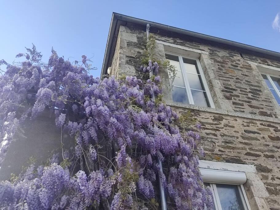 Le Vulcain Apartamento Le Hommet-d'Arthenay Exterior foto