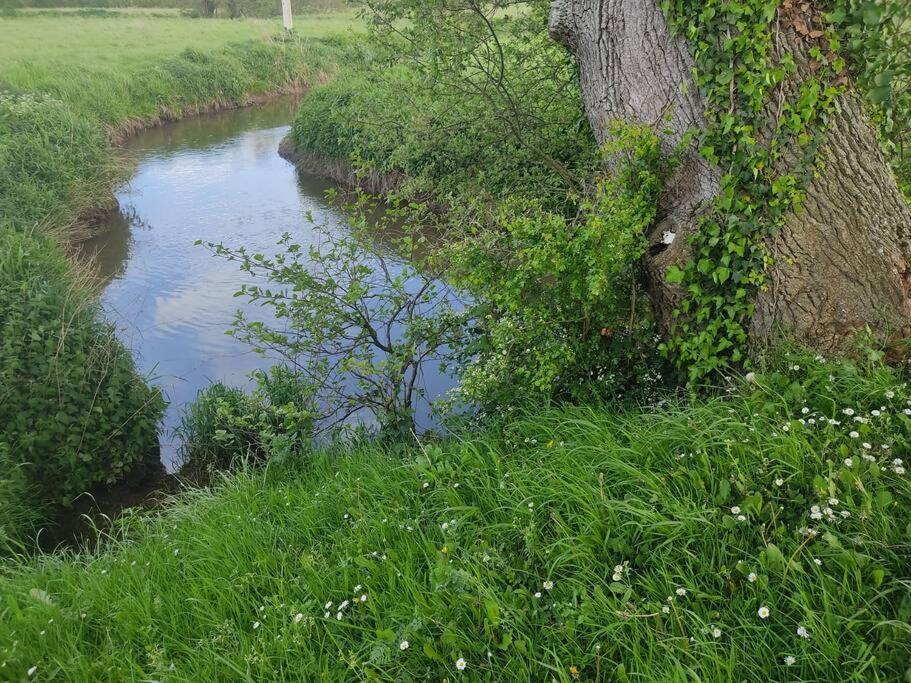 Le Vulcain Apartamento Le Hommet-d'Arthenay Exterior foto